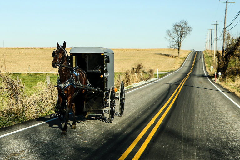 Ultimate day trip to Amish Country, PA