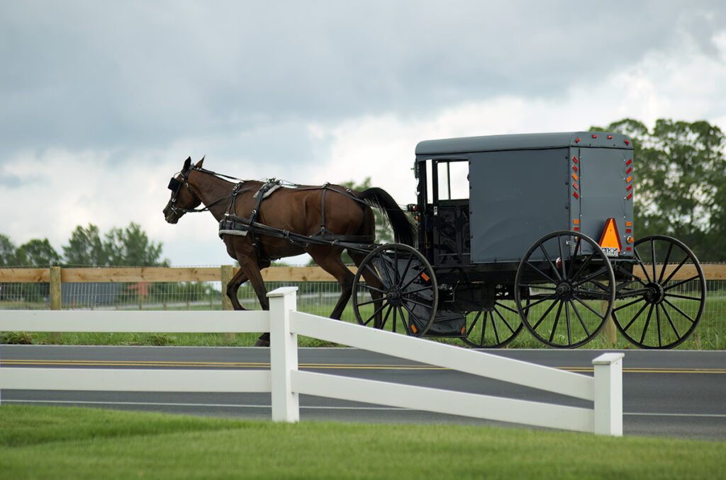 Horse and cart with reflectors