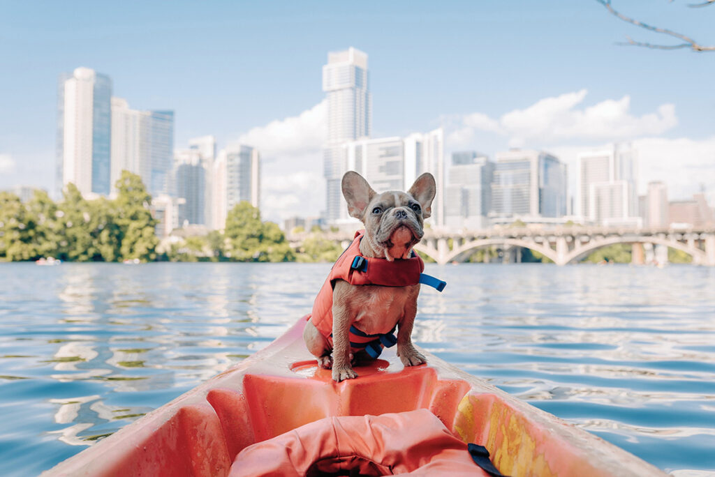 Dog on kayak on Lady Bird Lake, Austin