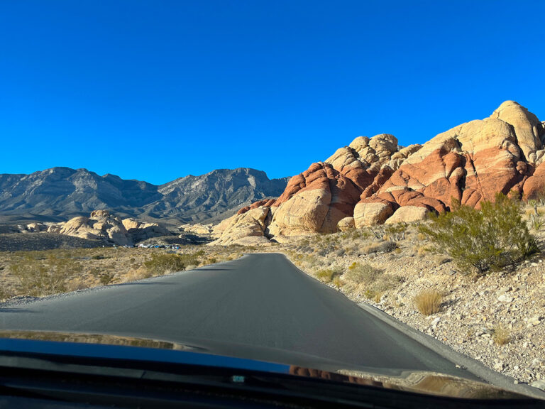 Take a day trip to Red Rock Canyon!